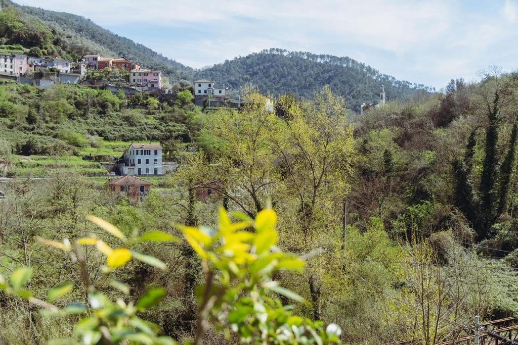 شقة Residenza Nemus Mare E Montagna Graveglia المظهر الخارجي الصورة